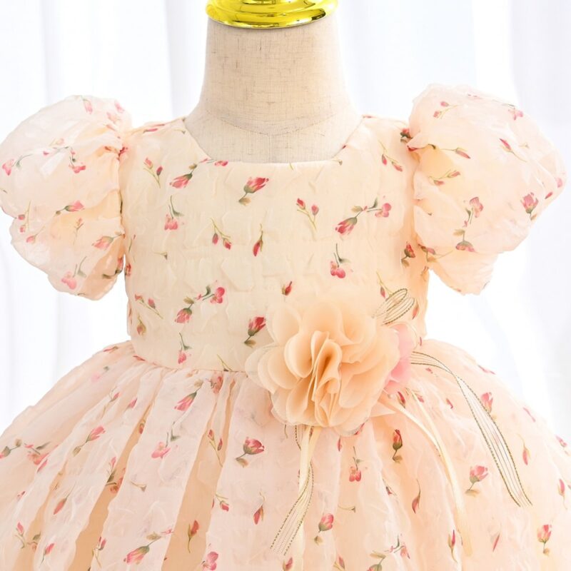 Charming Floral  Baby Dress - Image 5